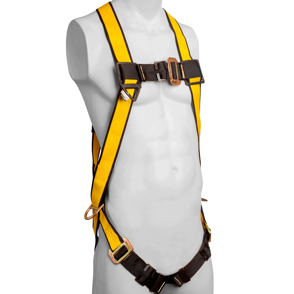 ARNES 3 ARGOLLAS ECONÓMICO